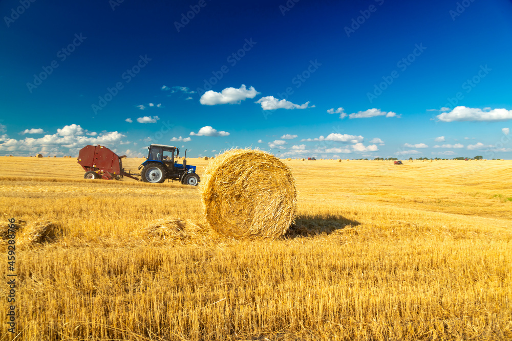 Tractor pulls Round Baler in the background of a field with haystacks