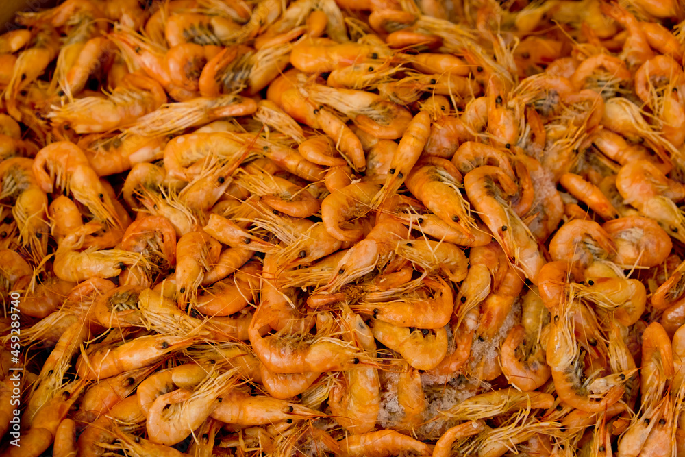 Small fresh boiled pink shrimp ready to eat. Street food festival. Selective focus. Close-up. Food background. Small fresh boiled pink shrimp ready to eat. Street food festival. Selective focus. Close-up. Food background.
