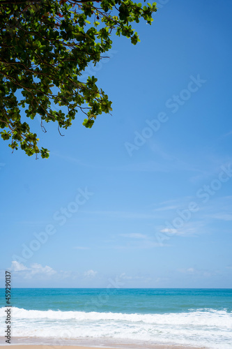 Fototapeta Naklejka Na Ścianę i Meble -  Amazing palms on island blue sky and clouds background. sun light in summer