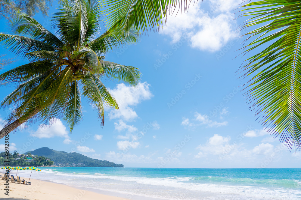 beach with palm trees mountain background.