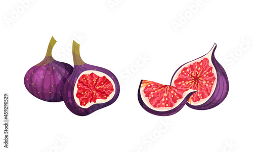 Fresh ripe delicious juicy figs set. Whole and cut in half and quarter tropical fruit vector illustration