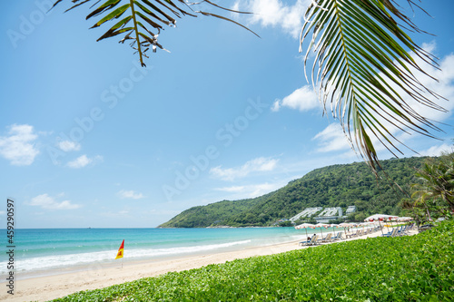 Coconut trees on beach on island blue sky and clouds background..