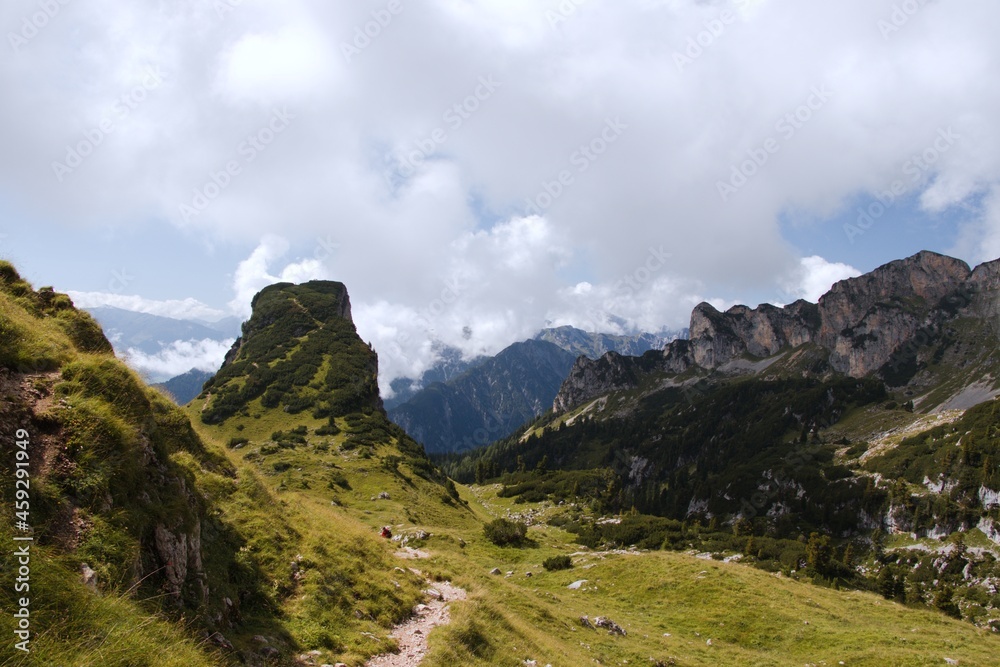 landscape in summer landscape in summer