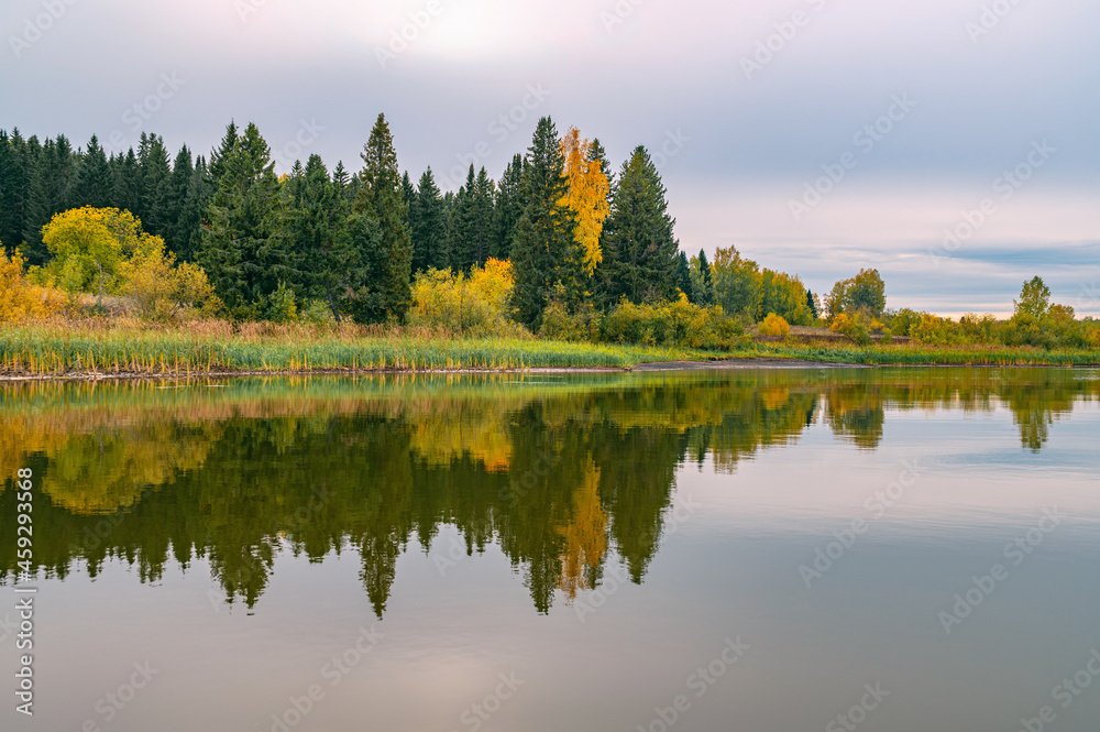 Fototapeta premium Panoramic view of the bright colorful trees along the bank of the Kama River Russia Perm Krai. Autumn colored trees and blue sky, reflected in the calm and shiny water.