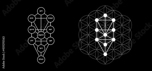Kabbalah vector symbol isolated. Sacred geometry and tree of sefirot illustration photo