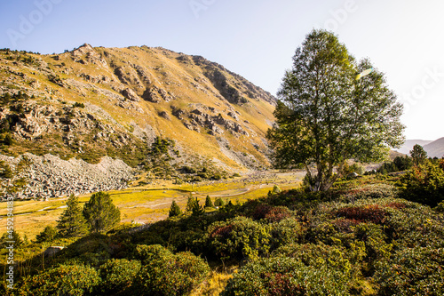 Mountain landscape in Campcardos valley, Pyrenees, France photo