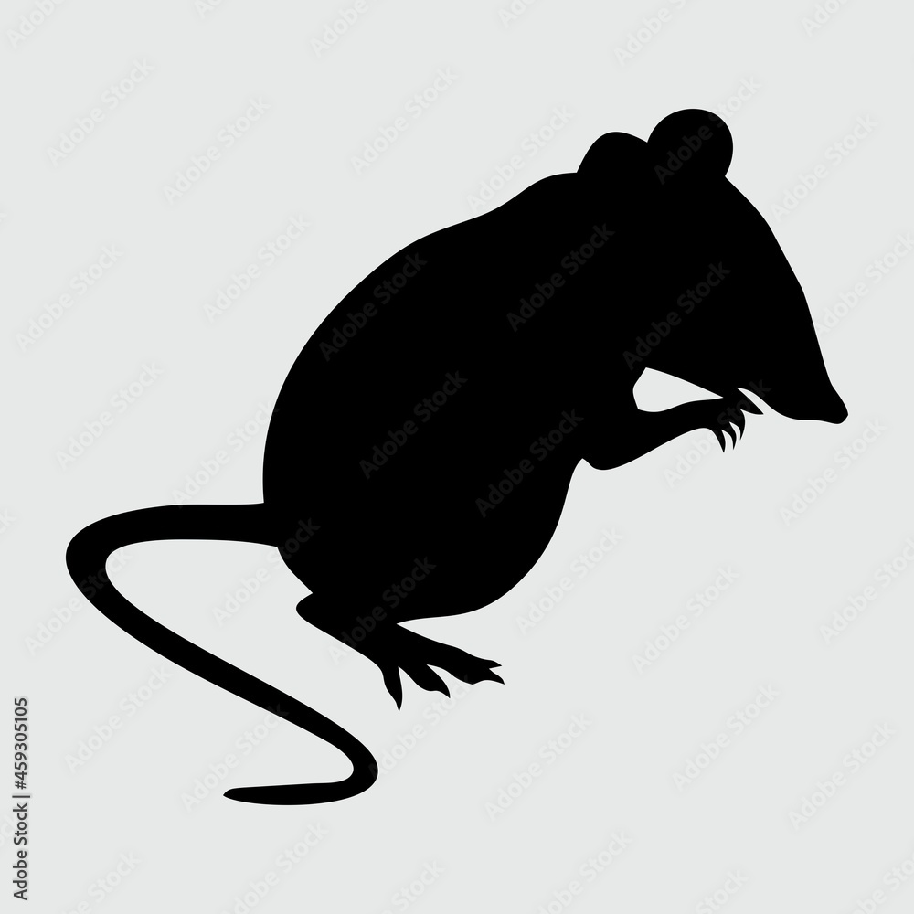 Obraz premium Rat Silhouette, Rat Isolated On White Background