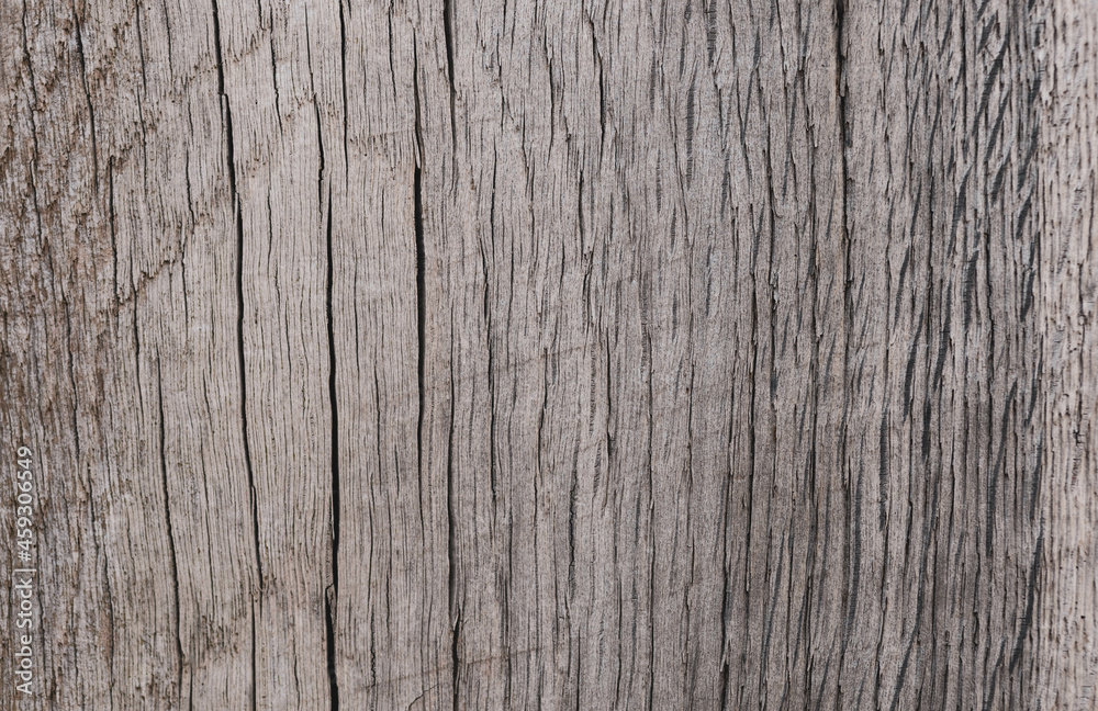old wood texture old wood texture