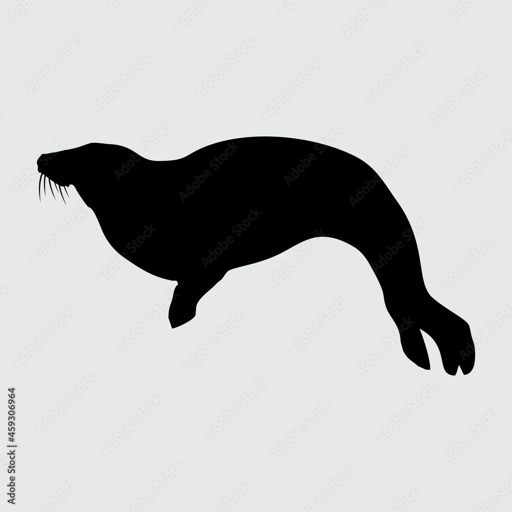 Sea Lion Silhouette, Sea Lion Isolated On White Background Sea Lion Silhouette, Sea Lion Isolated On White Background