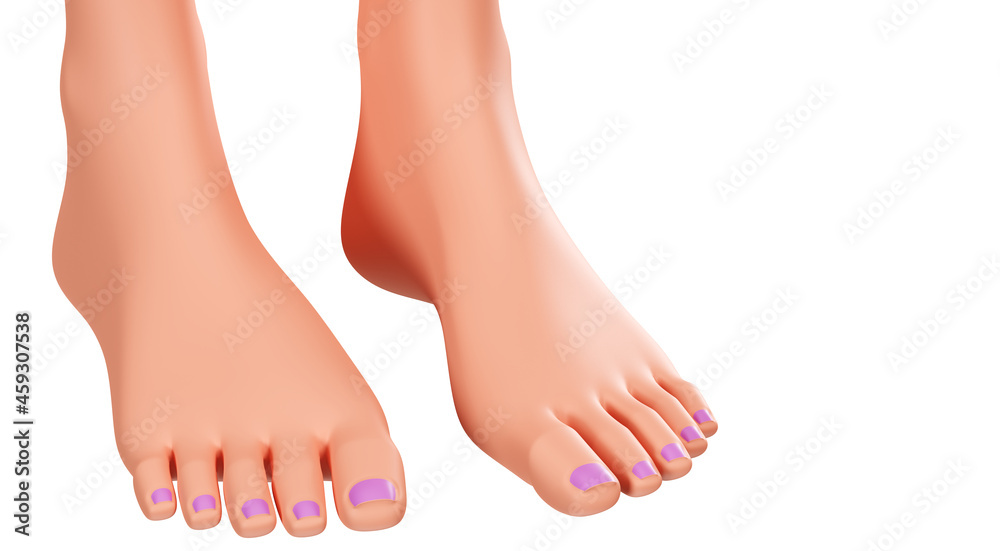 Beautiful female legs isolated on a white background. Well-groomed toes, 3d rendering. Women's feet with a pedicure. 3d model of the legs Beautiful female legs isolated on a white background. Well-groomed toes, 3d rendering. Women's feet with a pedicure. 3d model of the legs