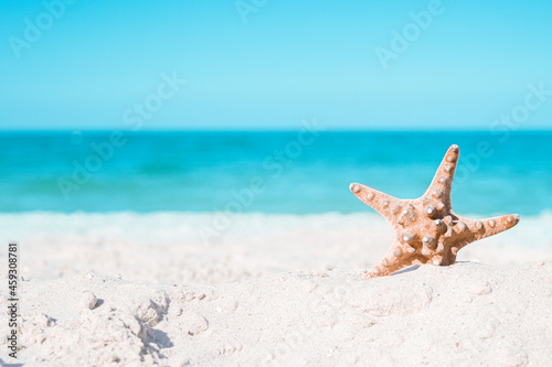 Starfish on a summer sea background with copy space. Sea coast