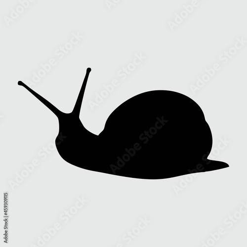 Snail Silhouette, Snail Isolated On White Background
