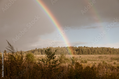 Landscape with a view of a field and a rainbow after the rain, close up