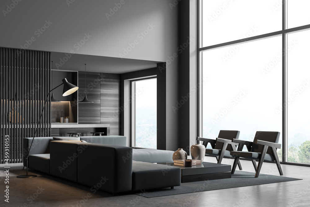 Corner of dark grey panoramic living room with background kitchen Corner of dark grey panoramic living room with background kitchen