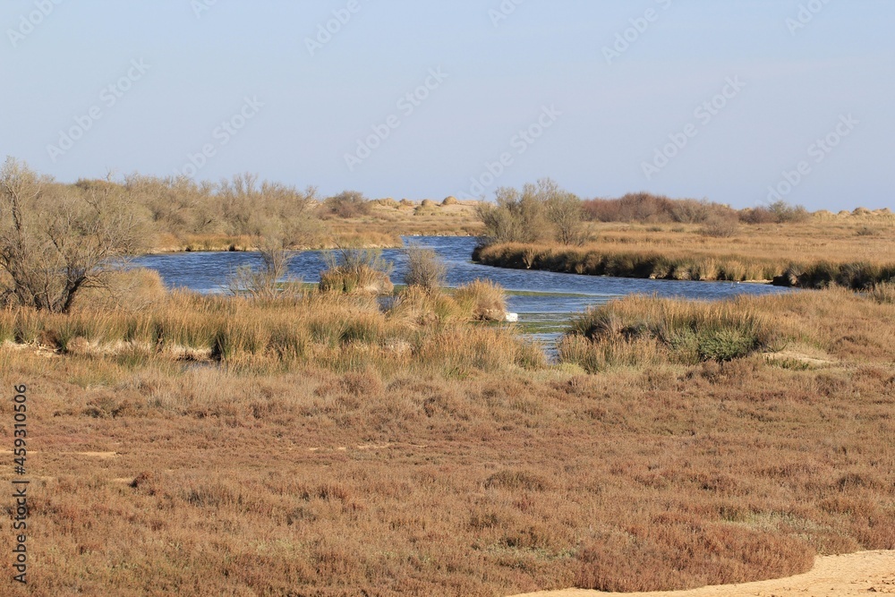 Fototapeta premium Milieu naturel