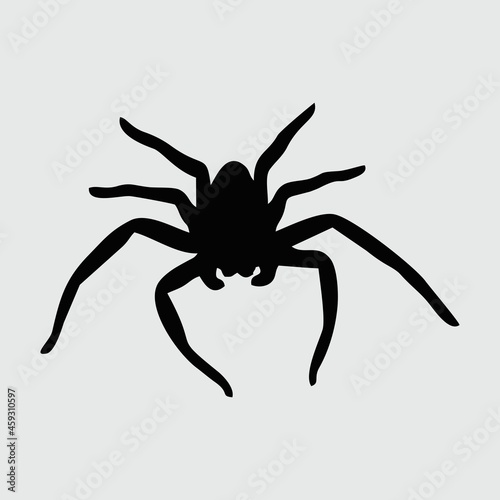 Spider Silhouette, Spider Isolated On White Background