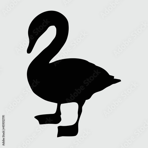 Swan Silhouette, Swan Isolated On White Background