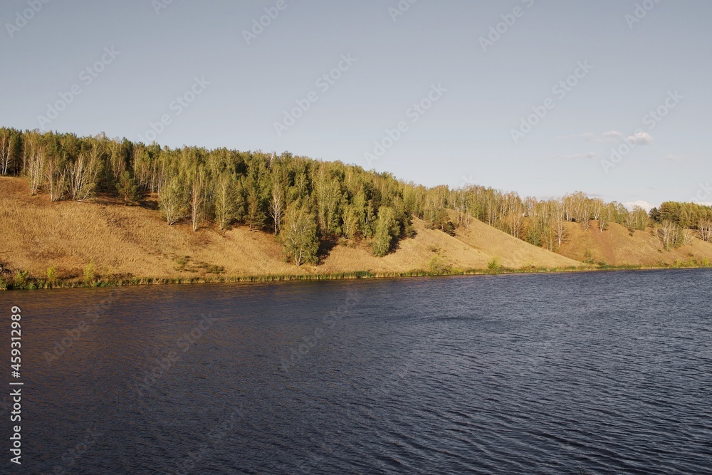 the river in the forest