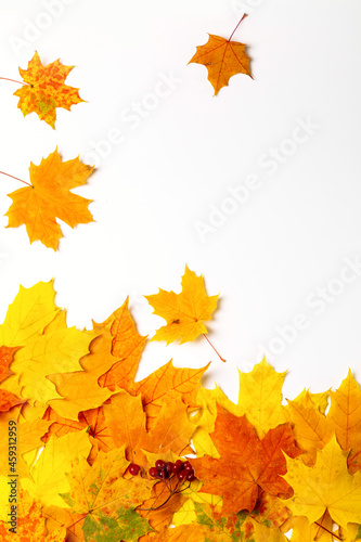 Image with autumn leaves.