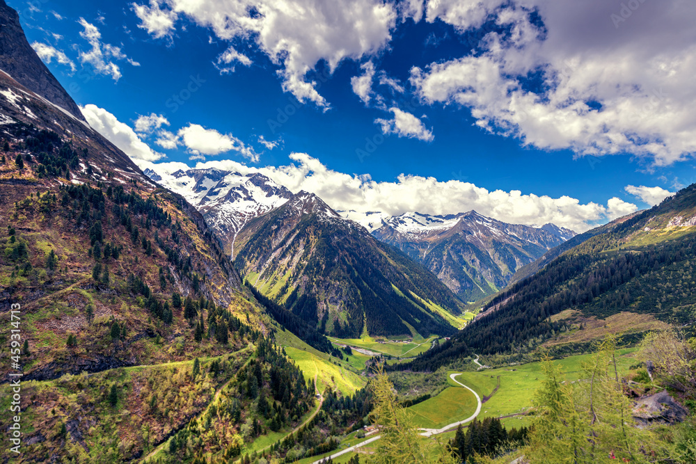 landscape in the summer.zillertal alps