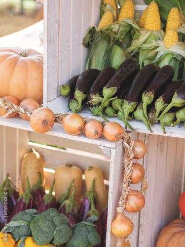 Pumpkin and other healthy farm vegetables in autumn season market background photo