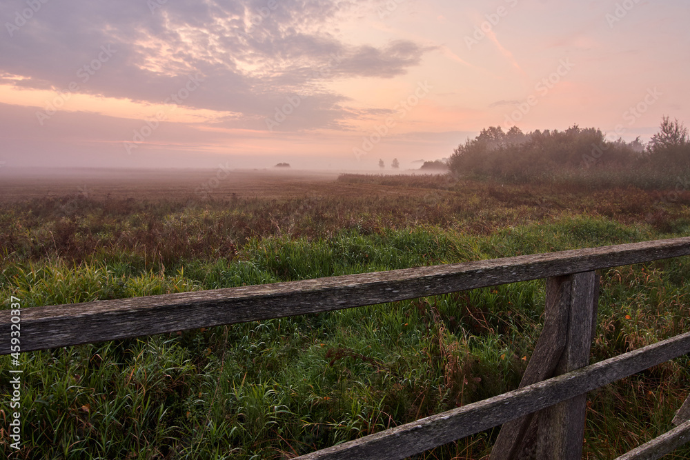 Early fog over Federseeried at sunrise in Bad Buchau, Germany.