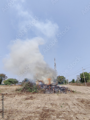 Burning wood forest fire with heavy smoke in the day land cleared for real estate