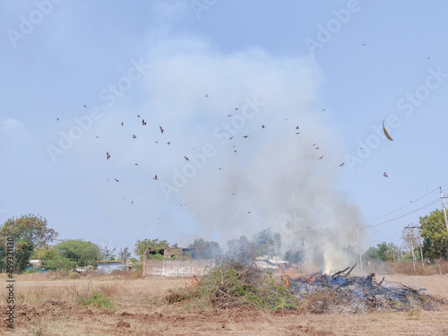 Burning wood forest fire with heavy smoke in the day land cleared for real estate