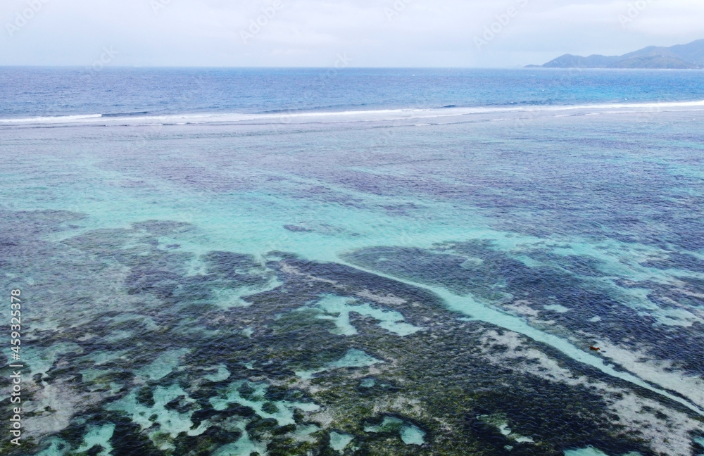 Top view of a beautiful emerald beach with corals in the Seychelles