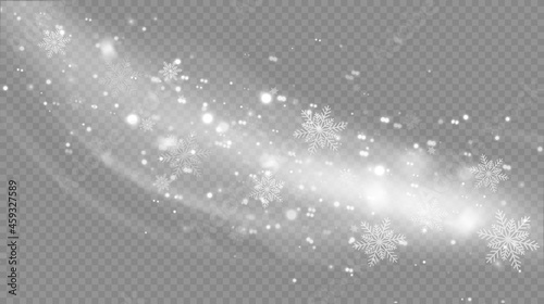 Vector snowfall isolated. Winter background. Snow overlay illustration. Snowflakes and ice.