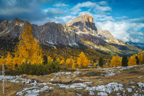 Autumn scenery with colorful larch forest in the Dolomites, Italy