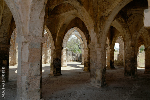 vaulted bays of great mosque of Kilwa Kisiwani