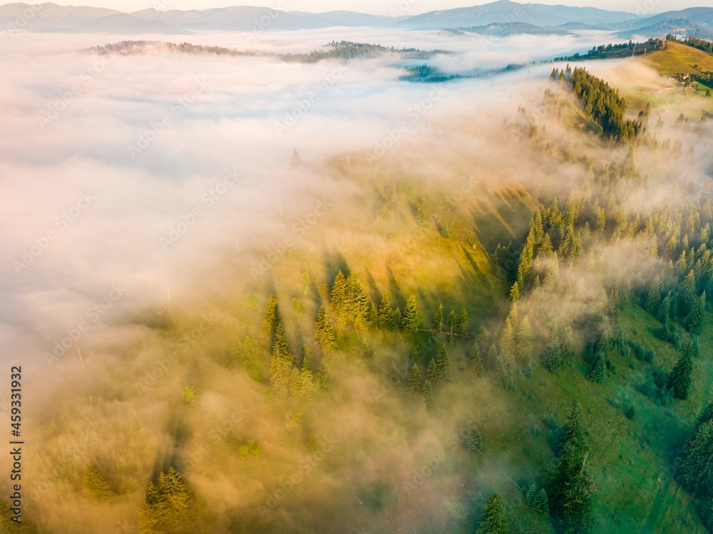 A thin morning fog covers the Ukrainian mountains. Green grass on the slopes of the mountains. A curly thin fog spreads over the mountains. Aerial drone view. A thin morning fog covers the Ukrainian mountains. Green grass on the slopes of the mountains. A curly thin fog spreads over the mountains. Aerial drone view.