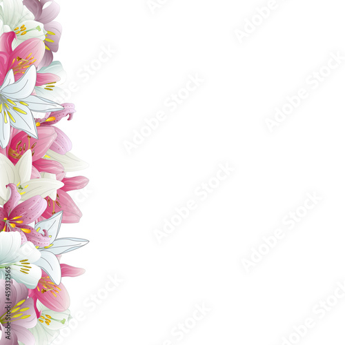 lillydraft