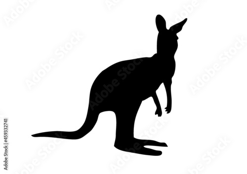 kangourou