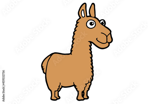 lama alpagua