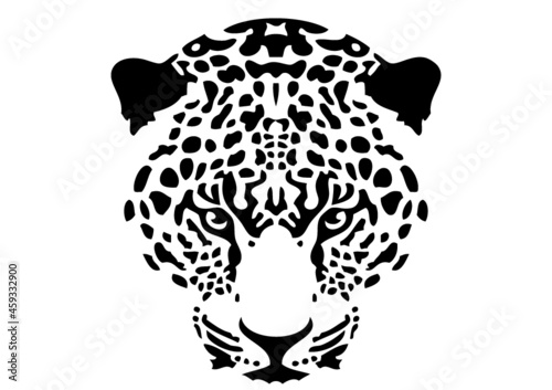  tête  de guépard
