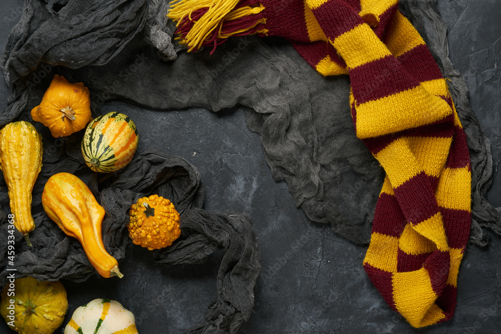 Naklejka premium Subjects of the school of magic and pumpkins. Scarf, magic wand, book of spells on grey dark rag background.