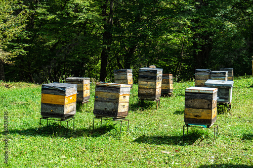 Honey beehive in Dzveli Shuamta photo
