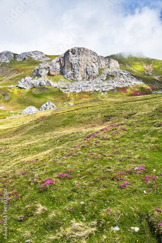 Macetul Turcesc in Bucegi mountains in Romania photo