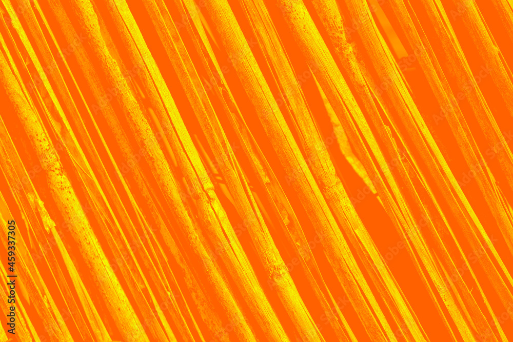Fototapeta Orange background or texture with bamboo