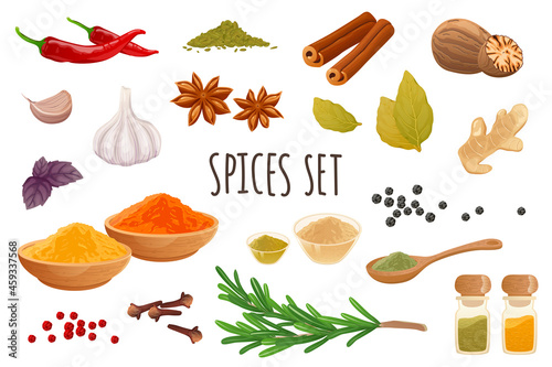 Spices icon set in realistic 3d design. Bundle of chilli, cinnamon, garlic, ginger, rosemary, nutmeg, cloves, star anise and other. Cooking collection. Vector illustration isolated on white background