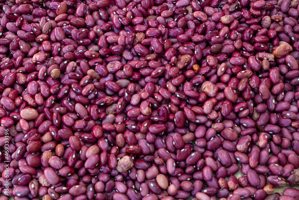 large amount of red beans or kidney beans large amount of red beans or kidney beans