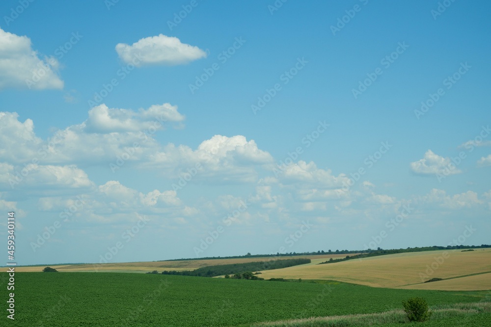 Landscape. Background. Bright green field and blue sky with clouds. Agricultural land, blue sky with clouds. Landscape. Background. Bright green field and blue sky with clouds. Agricultural land, blue sky with clouds.