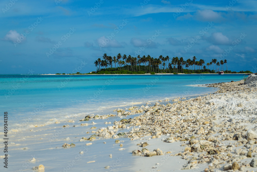 beach with palmes on Maldives