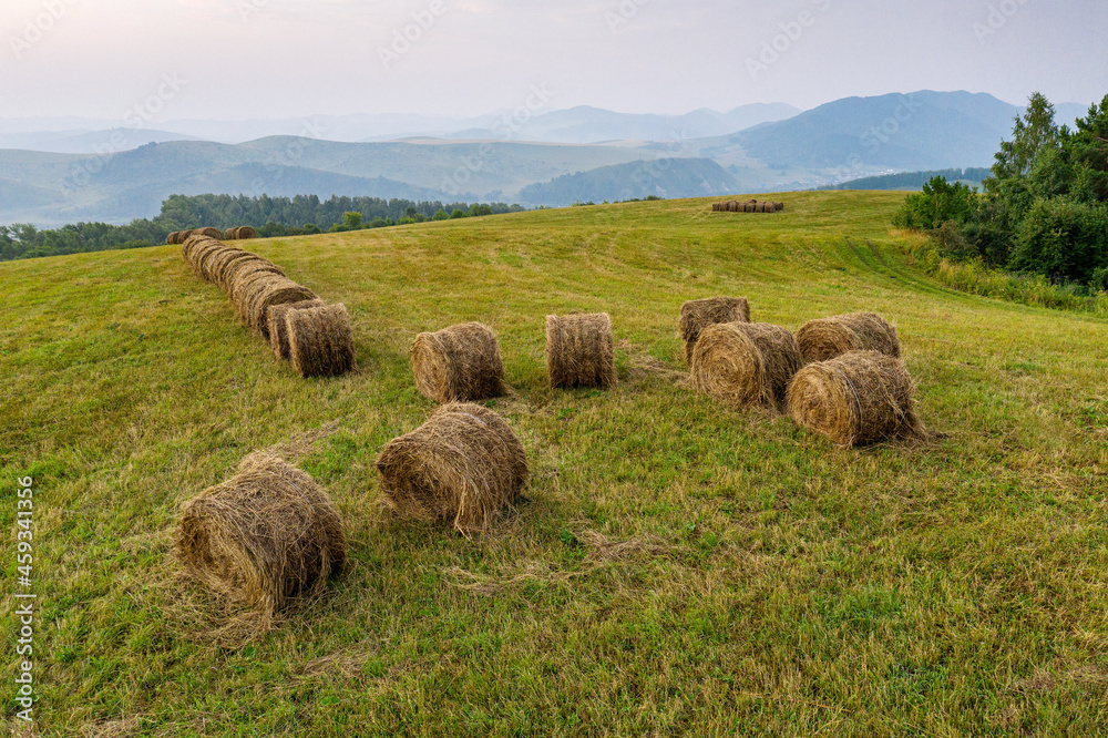 Altay. Mountain meadow. Baled grass hay. Aerial view.