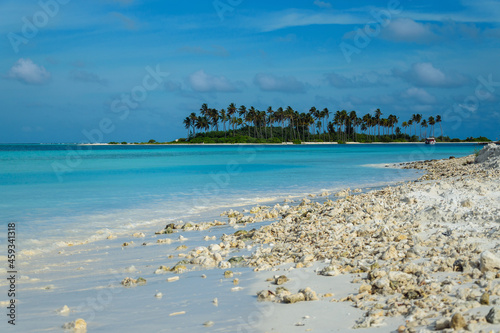 beach with palmes on Maldives © Konstantin