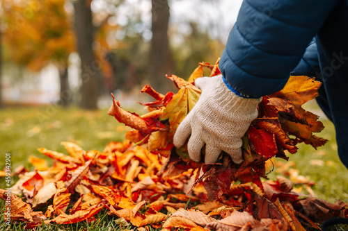 A close-up shot of a gloved man gathering leaves in a pile. A man gathering leaves in Autumn time.