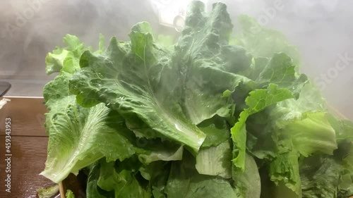 Yummy green vegetables ready to be served, chinese cabbage and a bok choy harvesting in basket. Taiwanese fresh vegetables on a tray typically used for Hotpot or Steamboat. Hotpot ingredients.-Dan photo