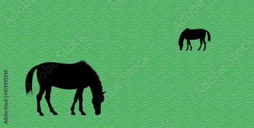 Horses grazing on a green meadow